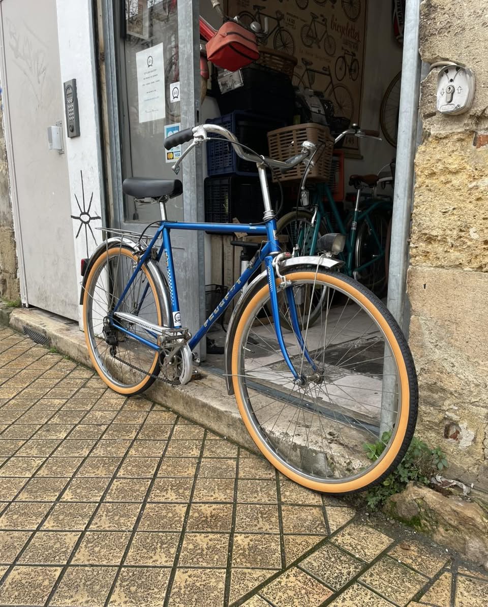 594138239_1438569051448350_2143111341087848793_n