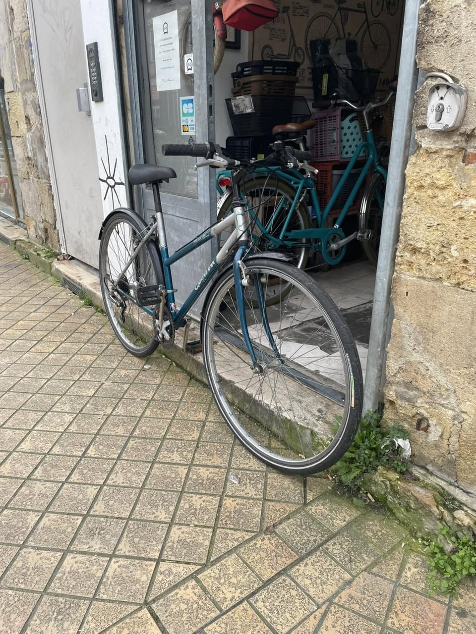 634260641_1494012285904026_8460838140978086878_n