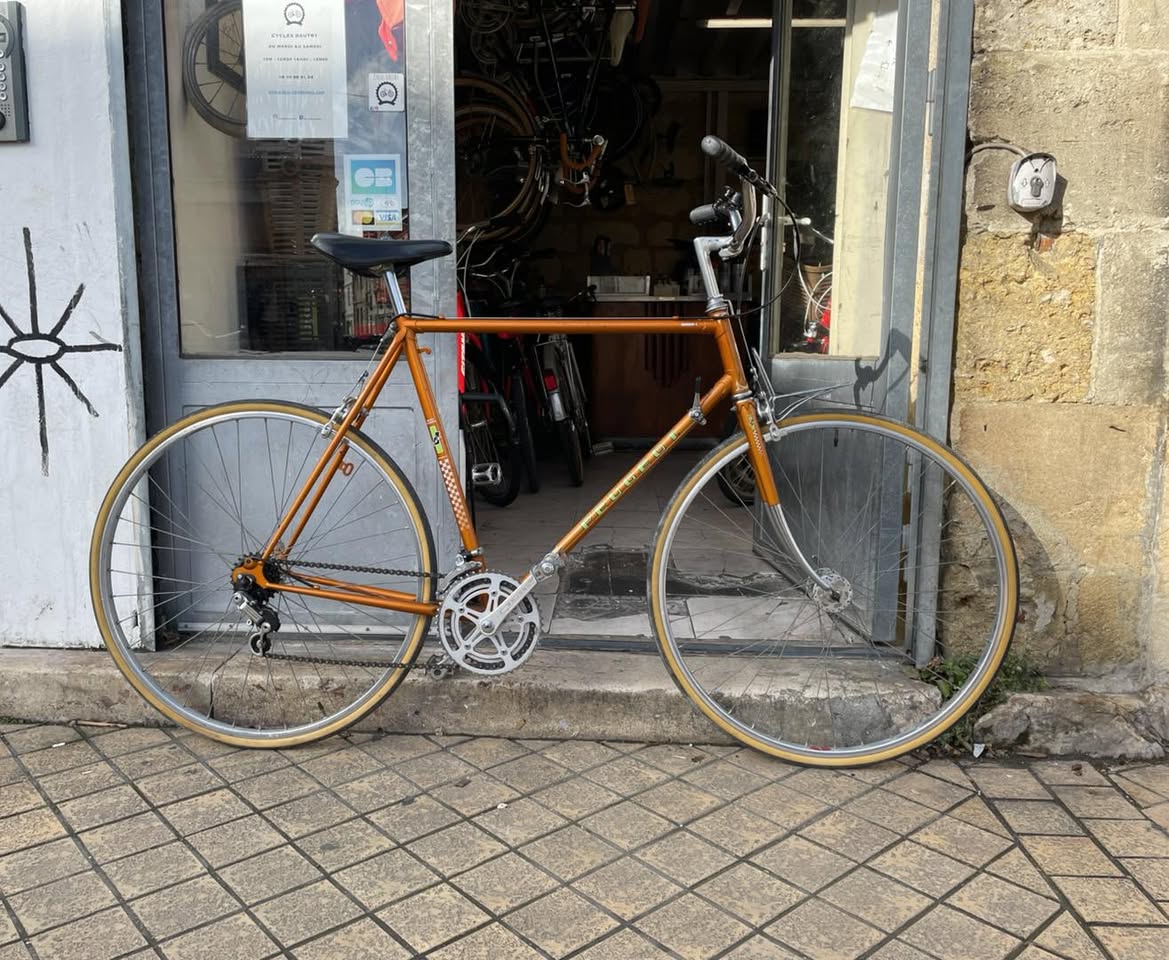 571369371_1403629434942312_4183649953115806452_n