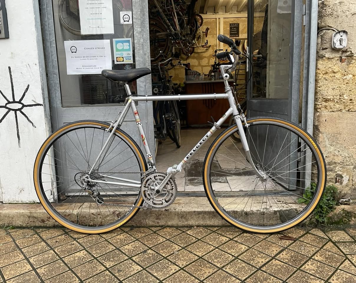 602332378_1446596380645617_3160873938378137196_n