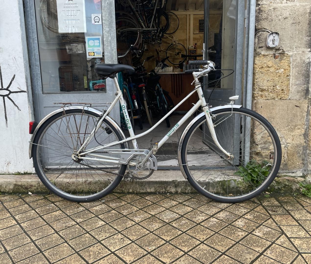 634220671_1492292376076017_8783837037959609828_n